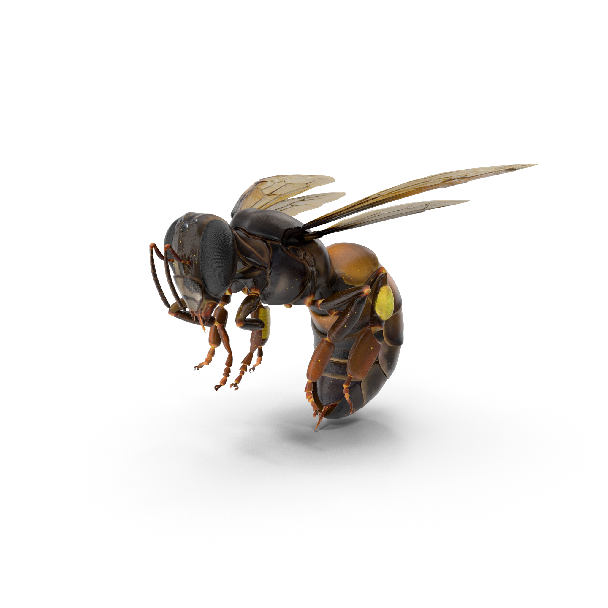 pest control