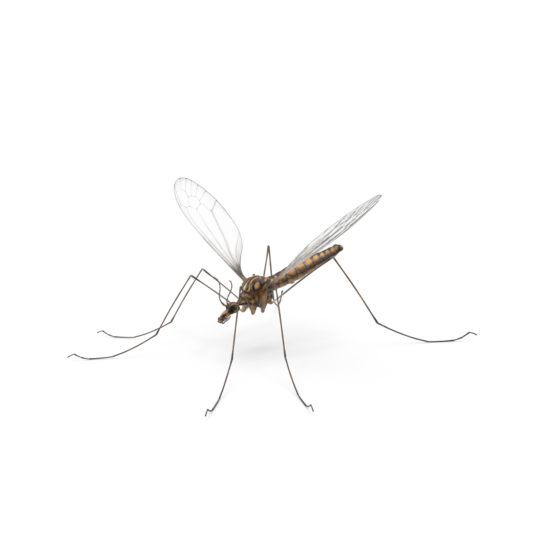 pest control